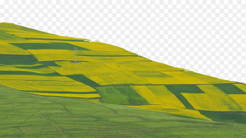 �ຣ׿��ɽ��-������