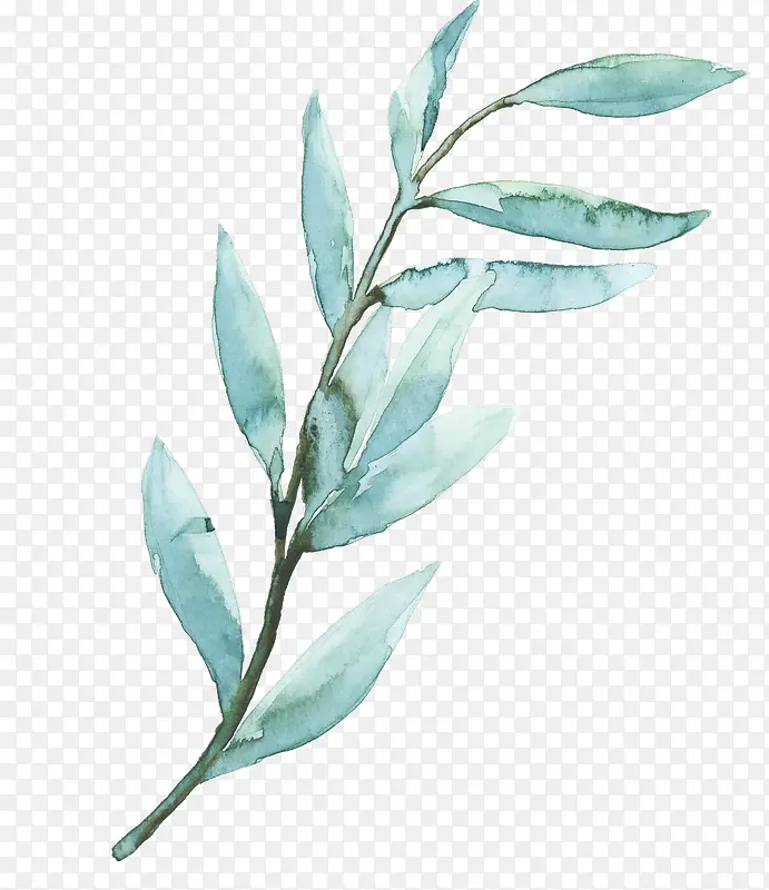 ˮ�ʵ���ɫҶ��֦��-������