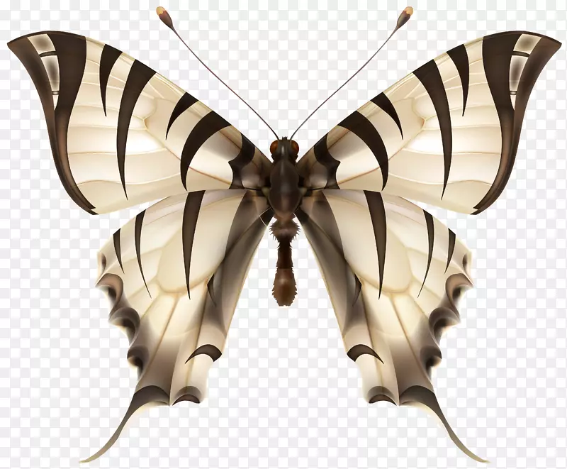 �������滢������-����PNG������ͼ��-������