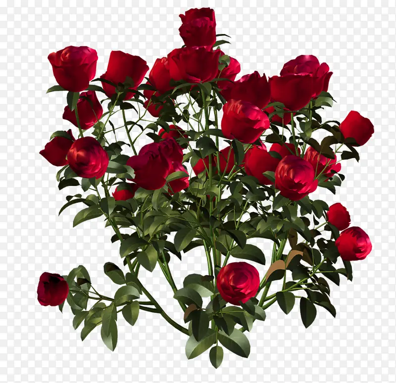 ��ֲ���ܻ���ʸ���ز�-������