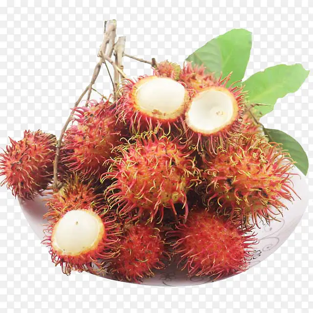 ��ë��-������