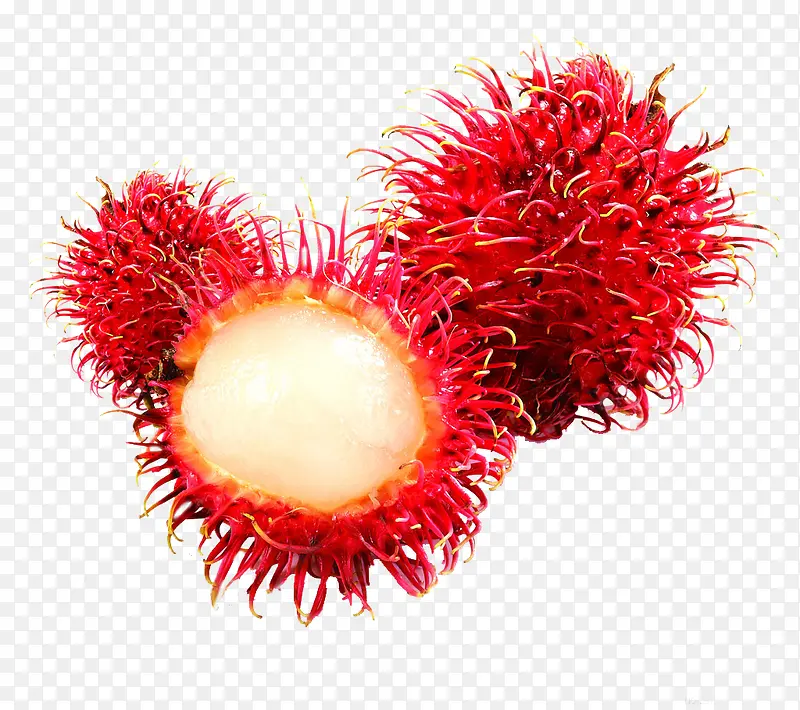 ��ɫ�ĺ�ë��ˮ��-������