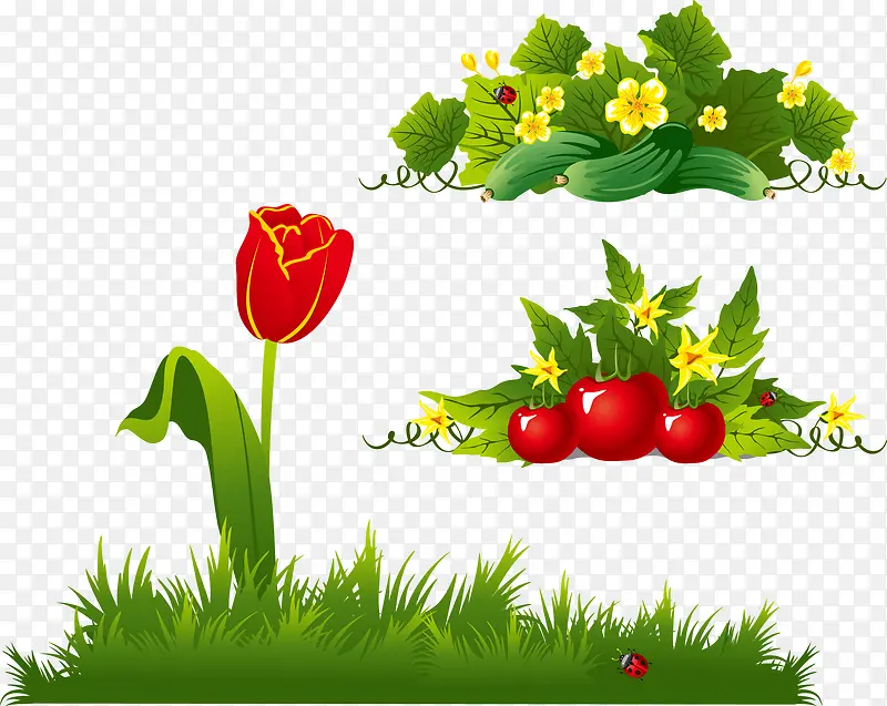 �ݵػ�԰ˮ��������ʸ��-������