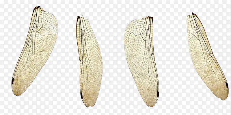 ������-������