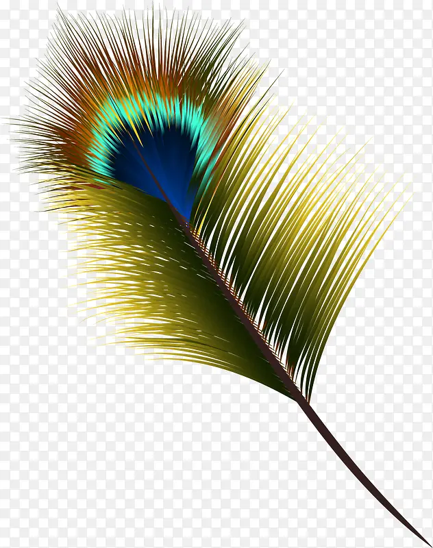 �ֻ�����ë-������