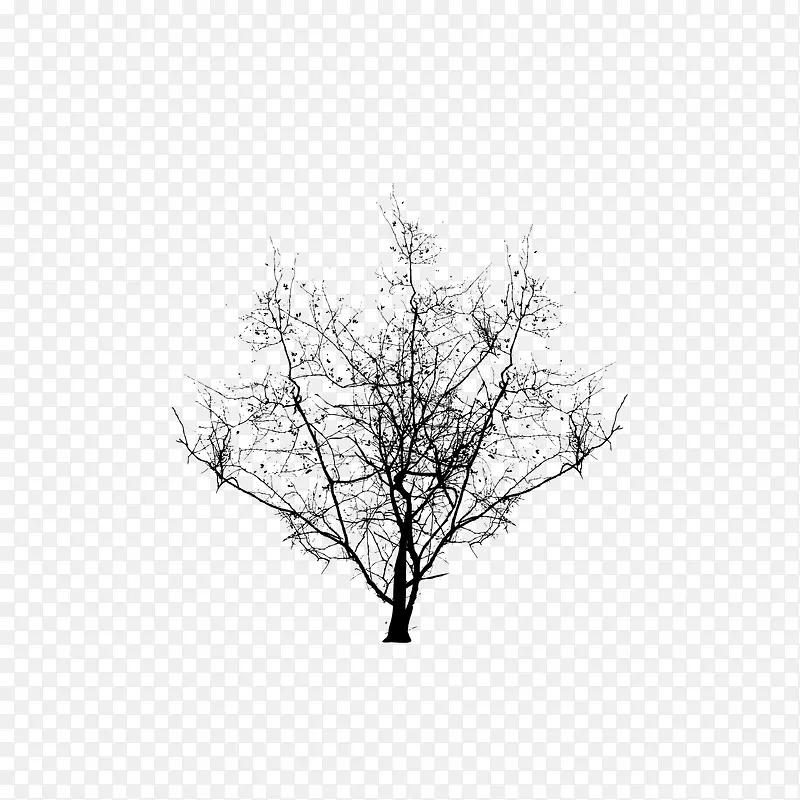 ���Ӹɿ���֦-������