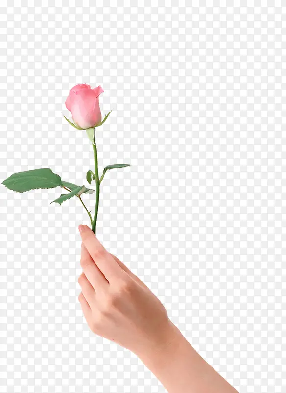 �� �ʻ�-������