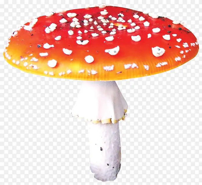 ��ɫ����Ģ��-������