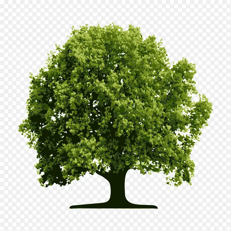 �� ��ľ ľ ֲ��-������