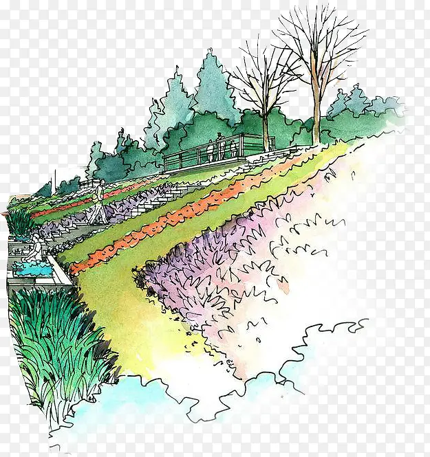 ����ϳ���Ұ��ˮ��Ч��-������