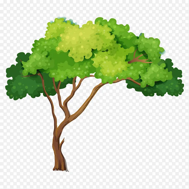 �� ��ľ-������