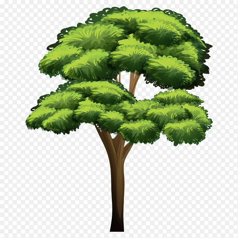 �� ��ľ-������