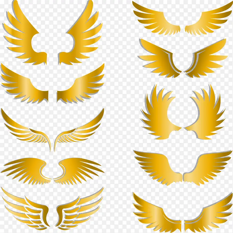 �ʻ��ɫ���-������