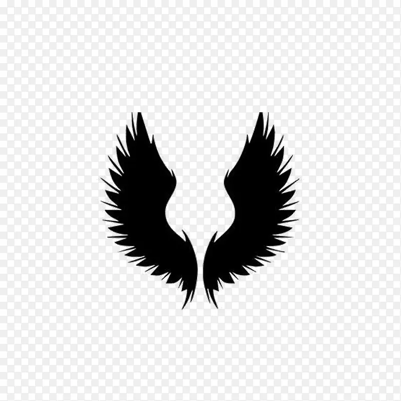 �ڰ׳��-������