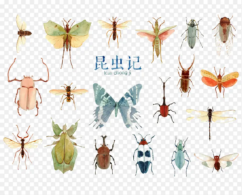 ����ϼ�-������