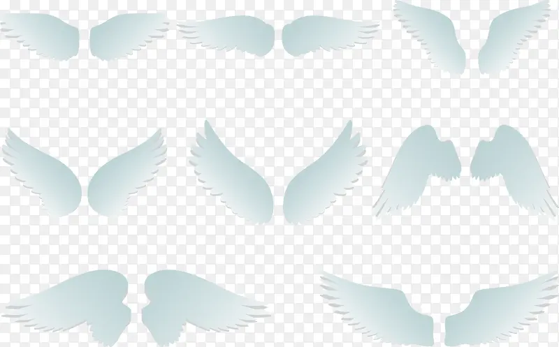 ��׵ĳ��-������