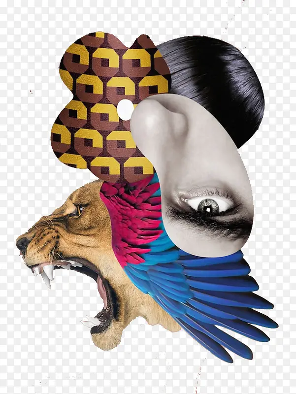 ���������ϻ�-������