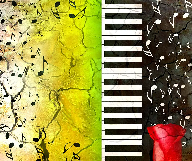 �����ټ�����-������