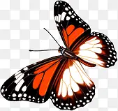 ��������ɫ����-������