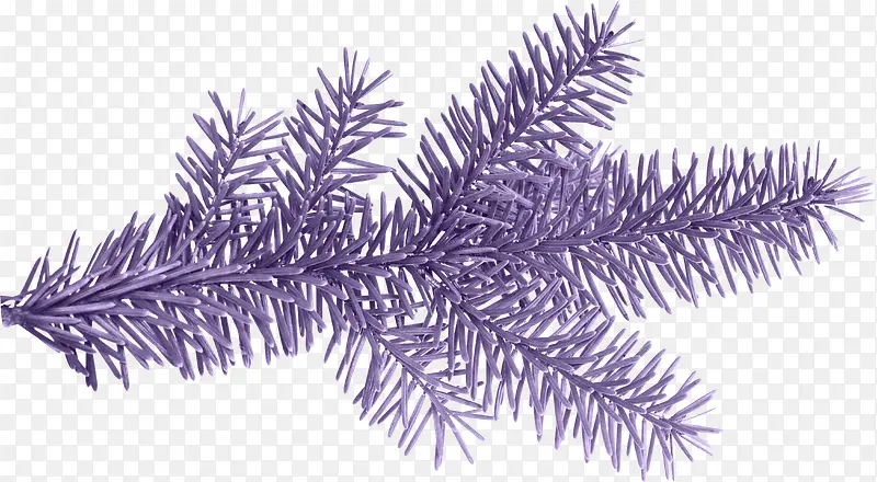 ��ɫ֦Ҷ-������