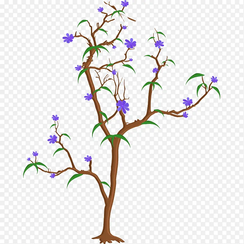 ��֦-������