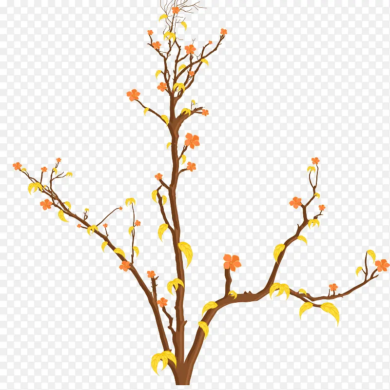 ��֦ �� ����-������