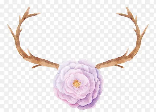 ��֦-������