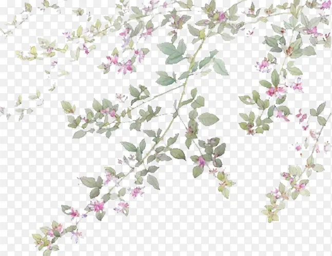 ��ɫС��-������