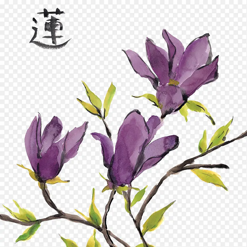 ��ɫҶ����֦-������