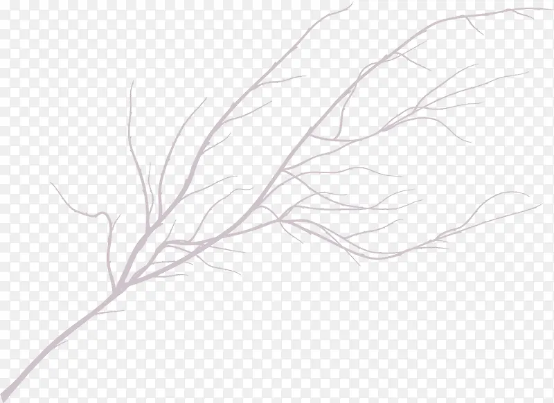 С������ɫ��֦-������