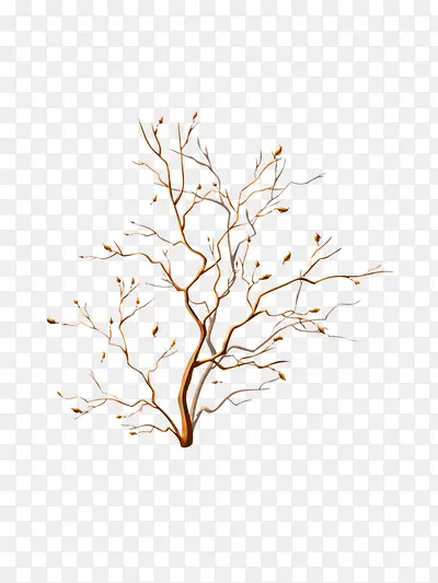 ��֦-������