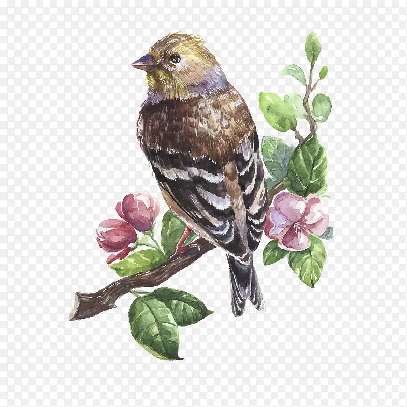 ʸ���ֻ�С��-������