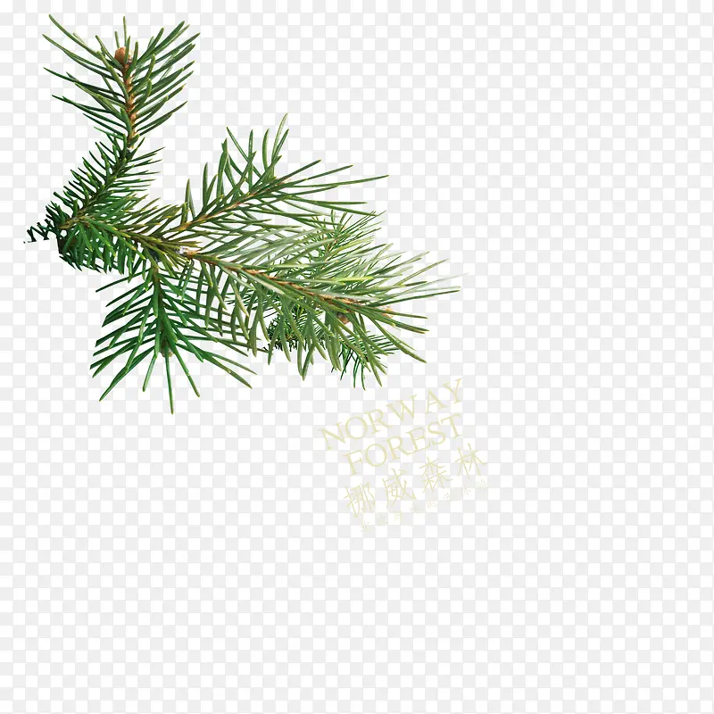 ��֦-������