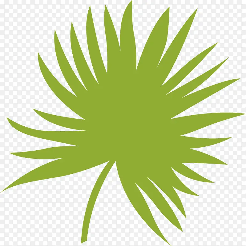 ��������Ҷ-������