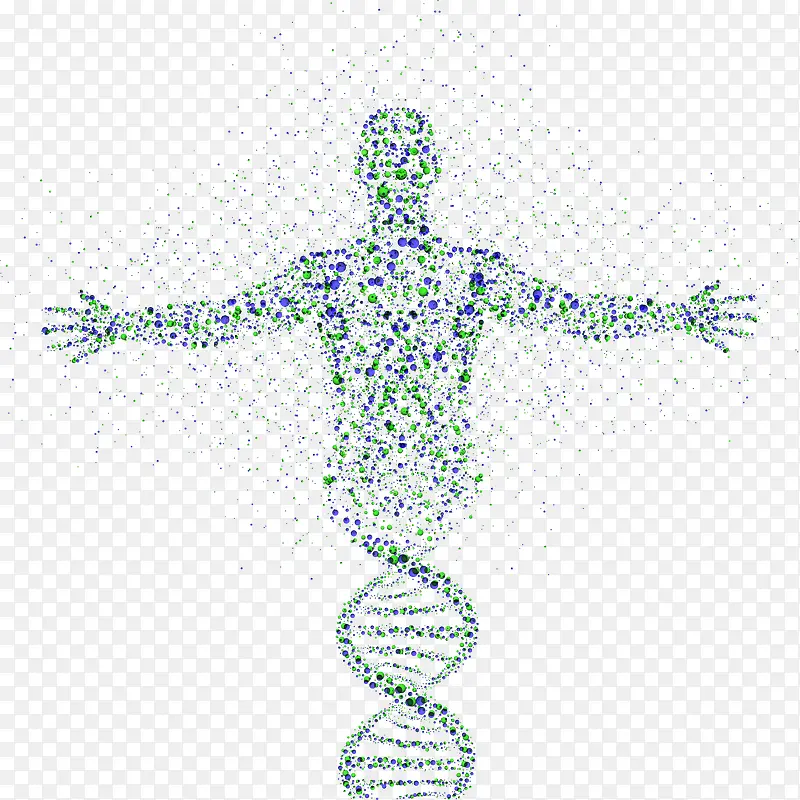 ����ī������-������