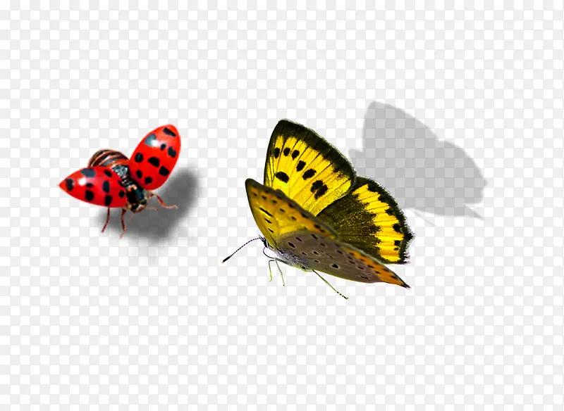 ����pngʸ��Ԫ��-������