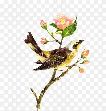 վ����Ҷ�ϵ�С��-������