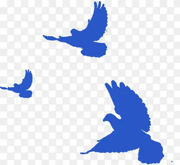 ������Ӱ�ֻ���ɫ����-������