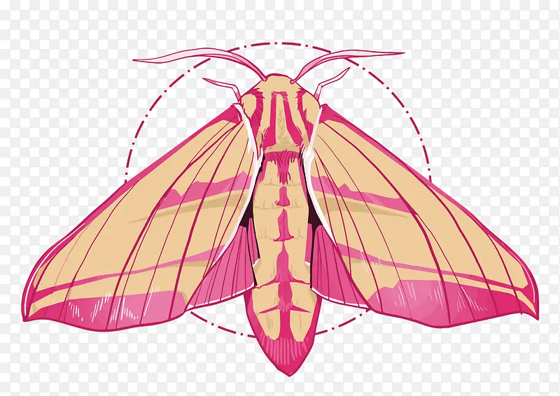 ʸ����ɫ����ɶ�-������