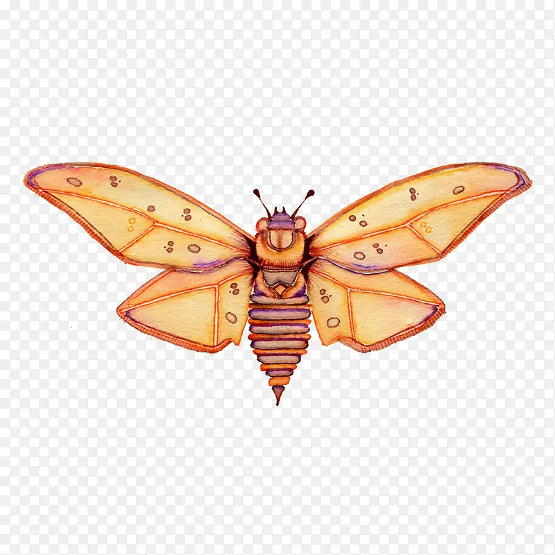 �ɶ�-������