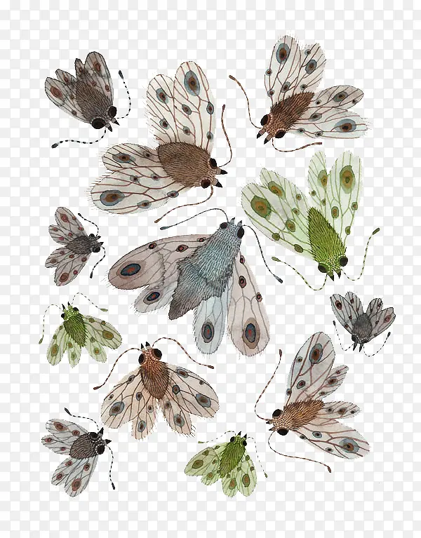 ��ͨ�ɶ��ȫ-������