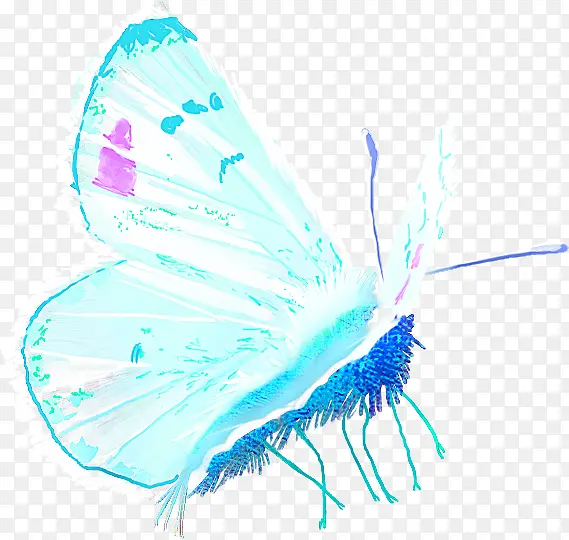 ӫ����ɫ�����ɶ�����-������