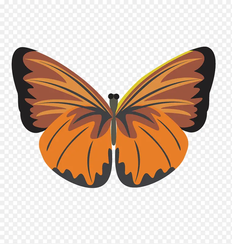 ʸ��һֻ����-������