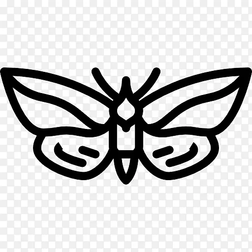 ��Ҷ��ͼ��-������