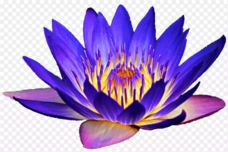 ˮ�ٺϼ������ٺϻ�-������