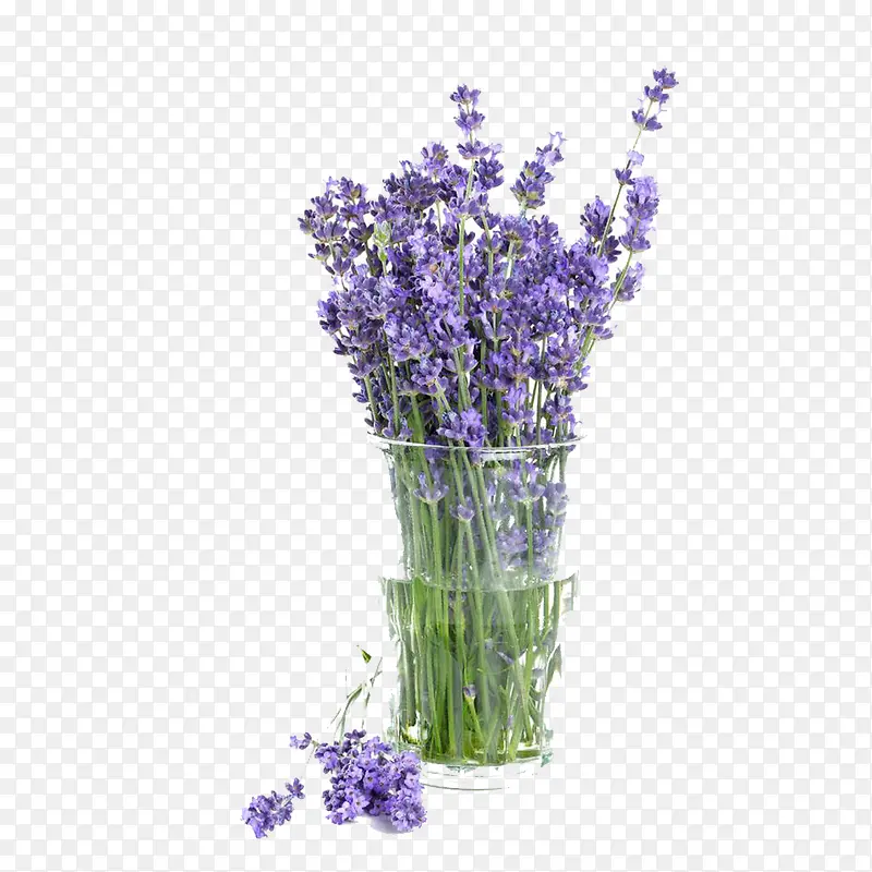 ��޹�²�����ز�-������