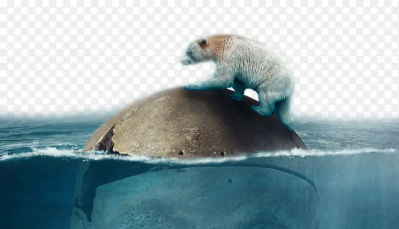 �������⺣���ز�-������