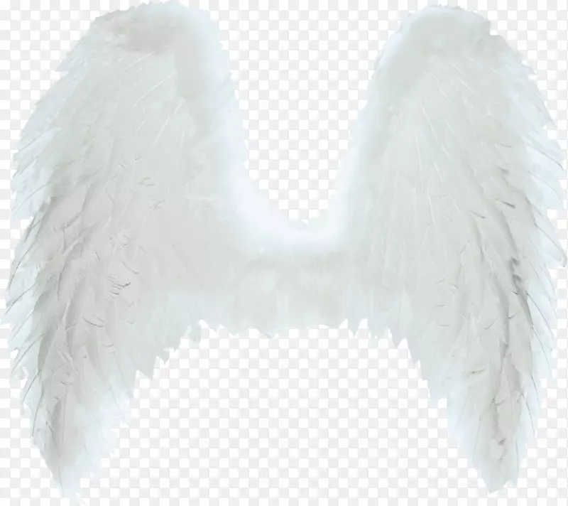 ������������-��ʹ���-������