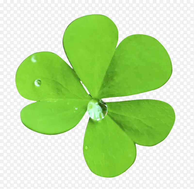 ����¶���������-������