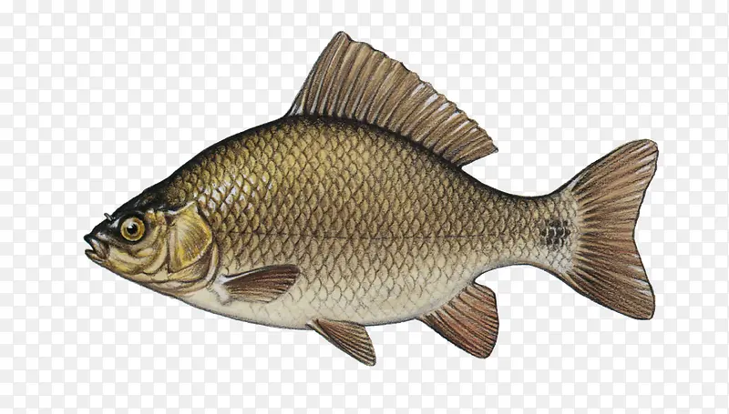 ����廭-������